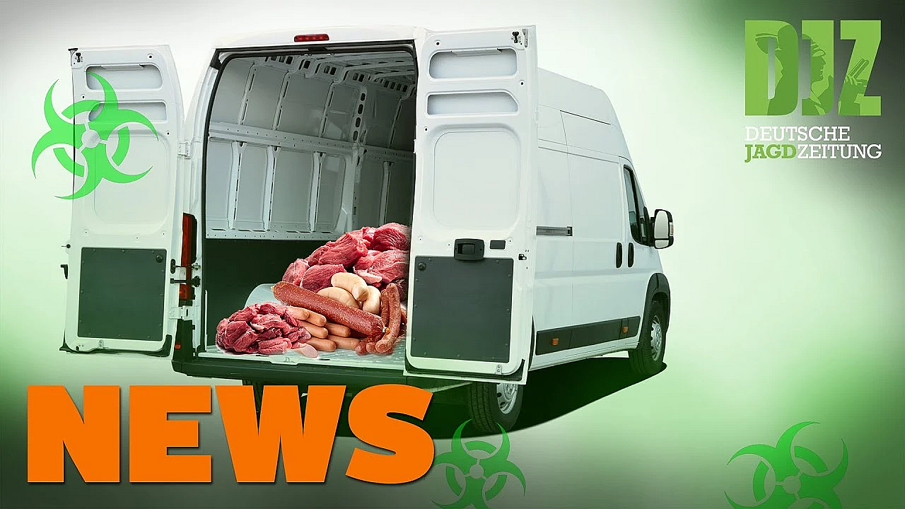 Asp Im Lieferwagen, Reh In Notlage, Dein-wild-rezept U.w. - Djz-news 4/2021