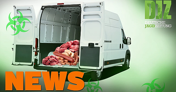 Asp Im Lieferwagen, Reh In Notlage, Dein-wild-rezept U.w. - Djz-news 4/2021