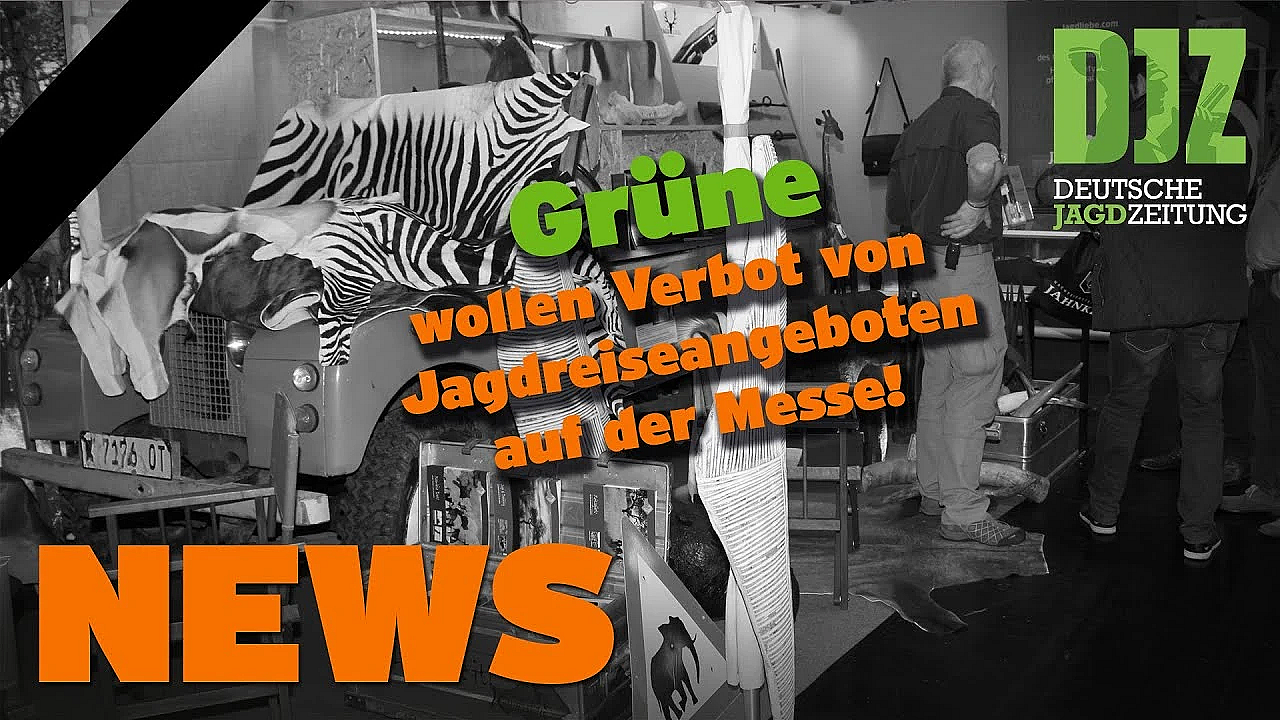 Schutz Für Wolfsjäger, Jagd Auf 10 Ha?, Strafanzeige Wegen Asp-schutzzaun U.w. - Djz News 7/2022