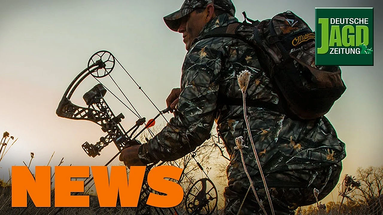 Freispruch Für Jägerin, Bogenjagd Auf Sauen, Asp-update U.w. - Djz-news 50/2019