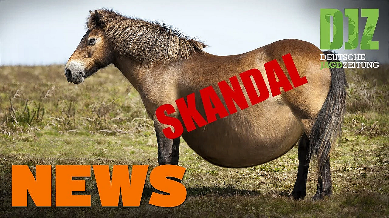 Auerhahn-prozess, Tierschutzskandal, Muntjak In Nordfriesland U.w. - Djz-news 32/2020