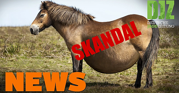 Auerhahn-prozess, Tierschutzskandal, Muntjak In Nordfriesland U.w. - Djz-news 32/2020