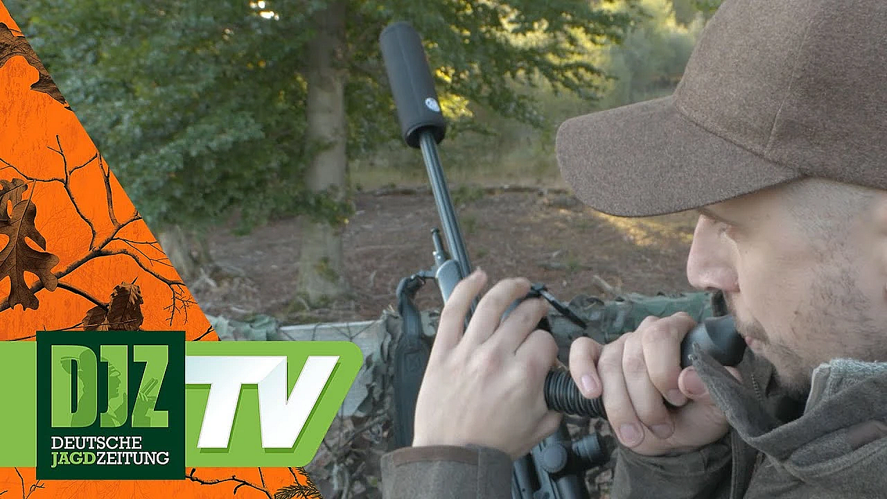 Rufjagd Auf Den Sika-hirsch - Pareygo Classics