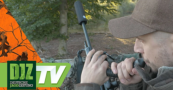 Rufjagd Auf Den Sika-hirsch - Pareygo Classics