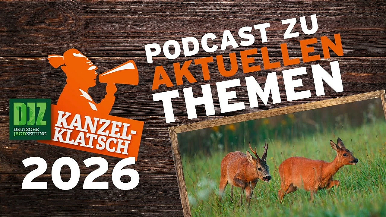 DJZ-Kanzelklatsch – Erfolgreiche Blattjagd mit Daniel Bastian