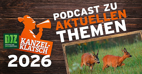 DJZ-Kanzelklatsch – Erfolgreiche Blattjagd mit Daniel Bastian