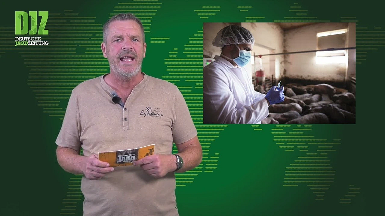 Asp In Baden Württemberg, Steigende Tierarztgebühren U.w. - Djz News 22/2022