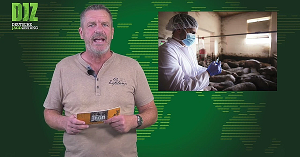 Asp In Baden Württemberg, Steigende Tierarztgebühren U.w. - Djz News 22/2022