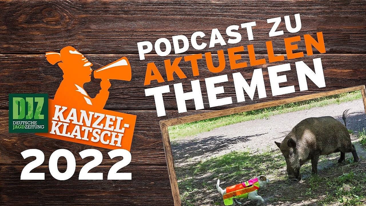 Djz-kanzelklatsch - Saugatter