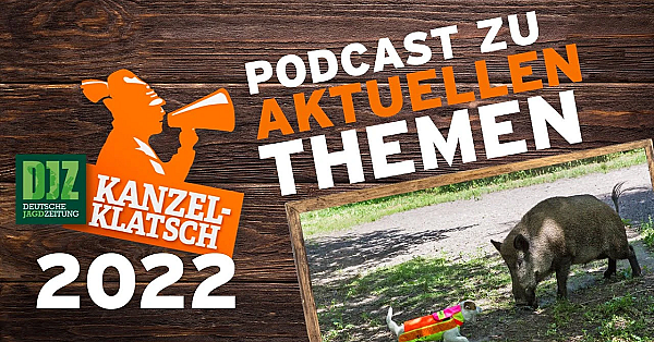 Djz-kanzelklatsch - Saugatter