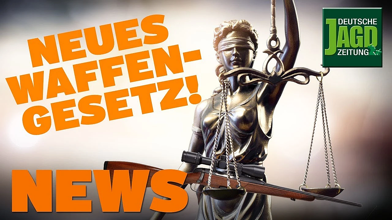 Verschärftes Waffenrecht, Elektrozaun Gegen Asp U.w. - Djz-news 51/2019