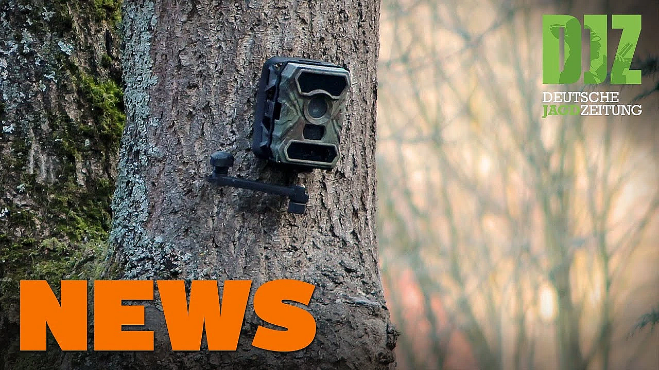 Reifenstecher, Wildkamera Filmt Täter, Jäger Verletzt U.w. - Djz News 47/2021