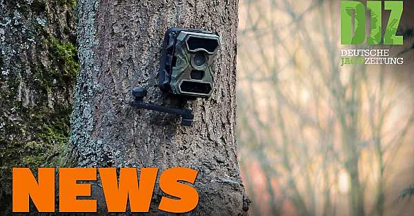 Reifenstecher, Wildkamera Filmt Täter, Jäger Verletzt U.w. - Djz News 47/2021