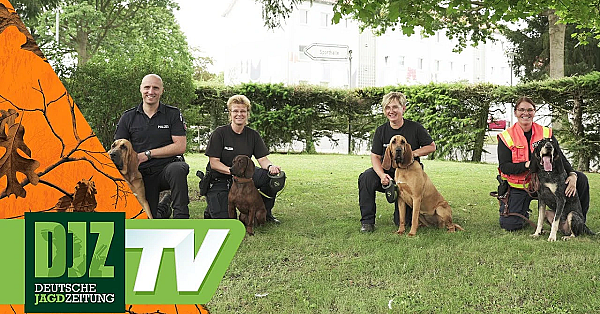 Unterwegs Mit Mantrailern - Djz Tv