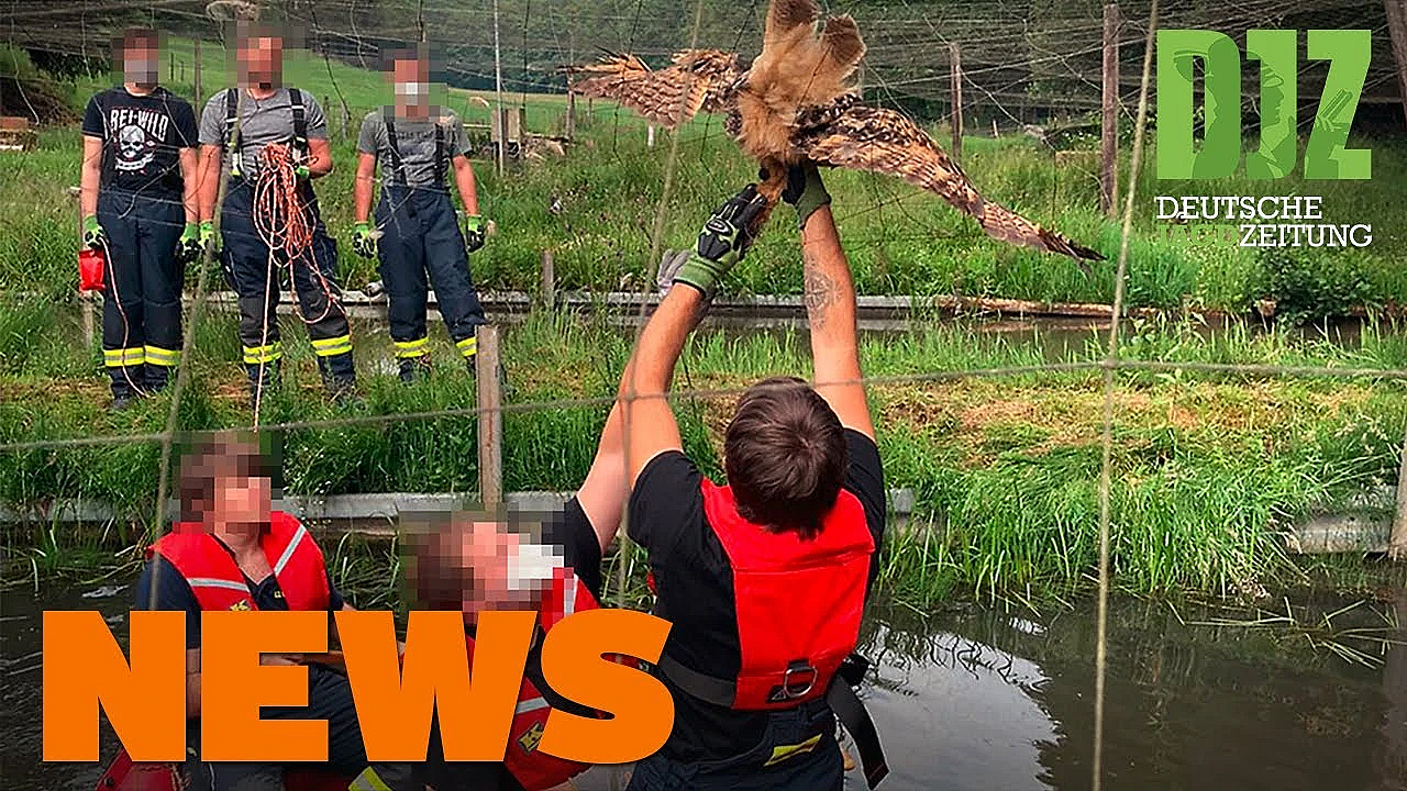 Teurer Personenschutz Für Trump Jr., Entlaufener Strauß, Uhu In Notlage - Djz-news 26/2020