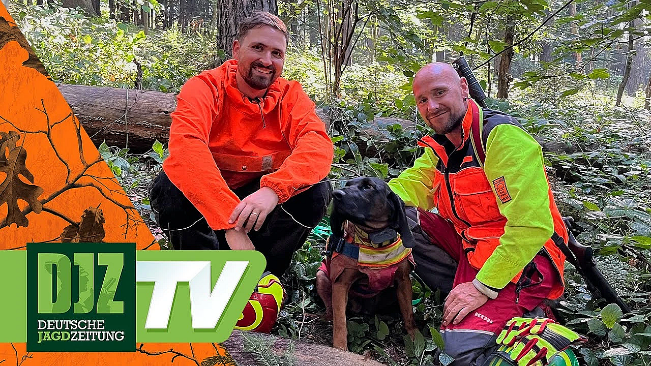 Sächsische Suchen - Djz Tv