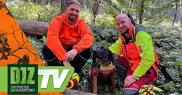 Sächsische Suchen - Djz Tv