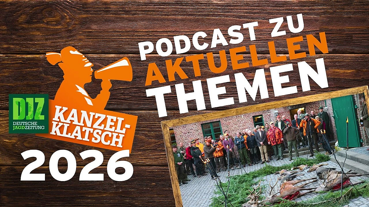 DJZ Kanzelklatsch – Die Perfekte Drückjagd, Teil 2