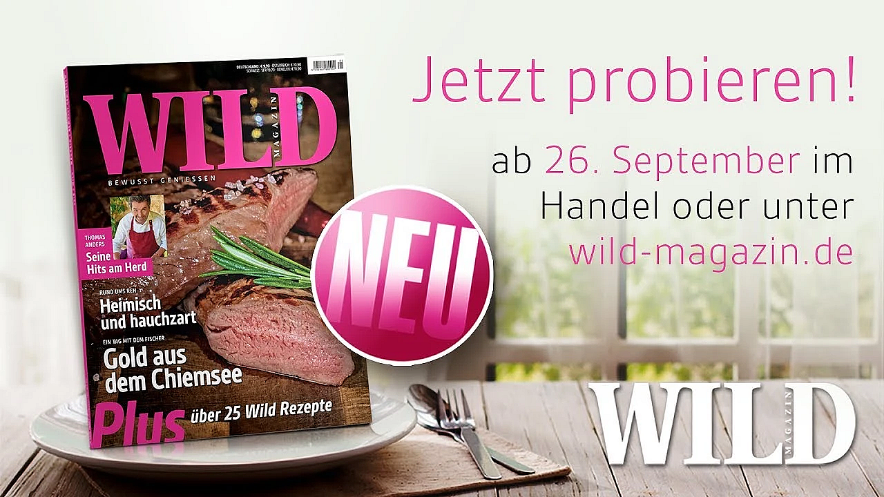 Die Neue Wild - Jetzt Probieren!