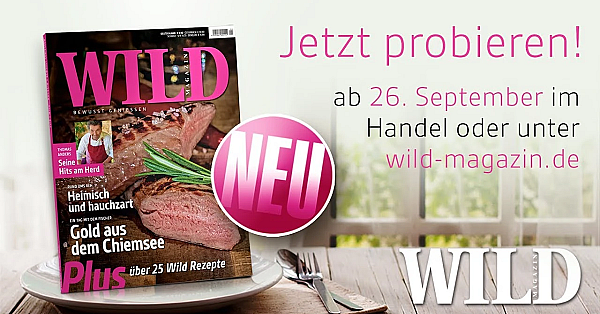 Die Neue Wild - Jetzt Probieren!