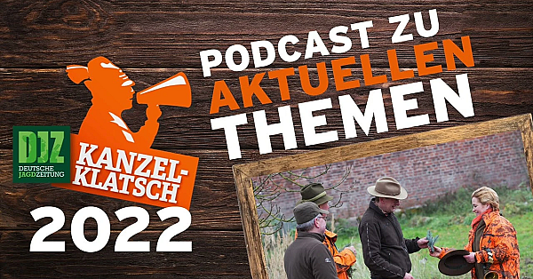 Djz-kanzelklatsch - Plötzlich Jungjäger