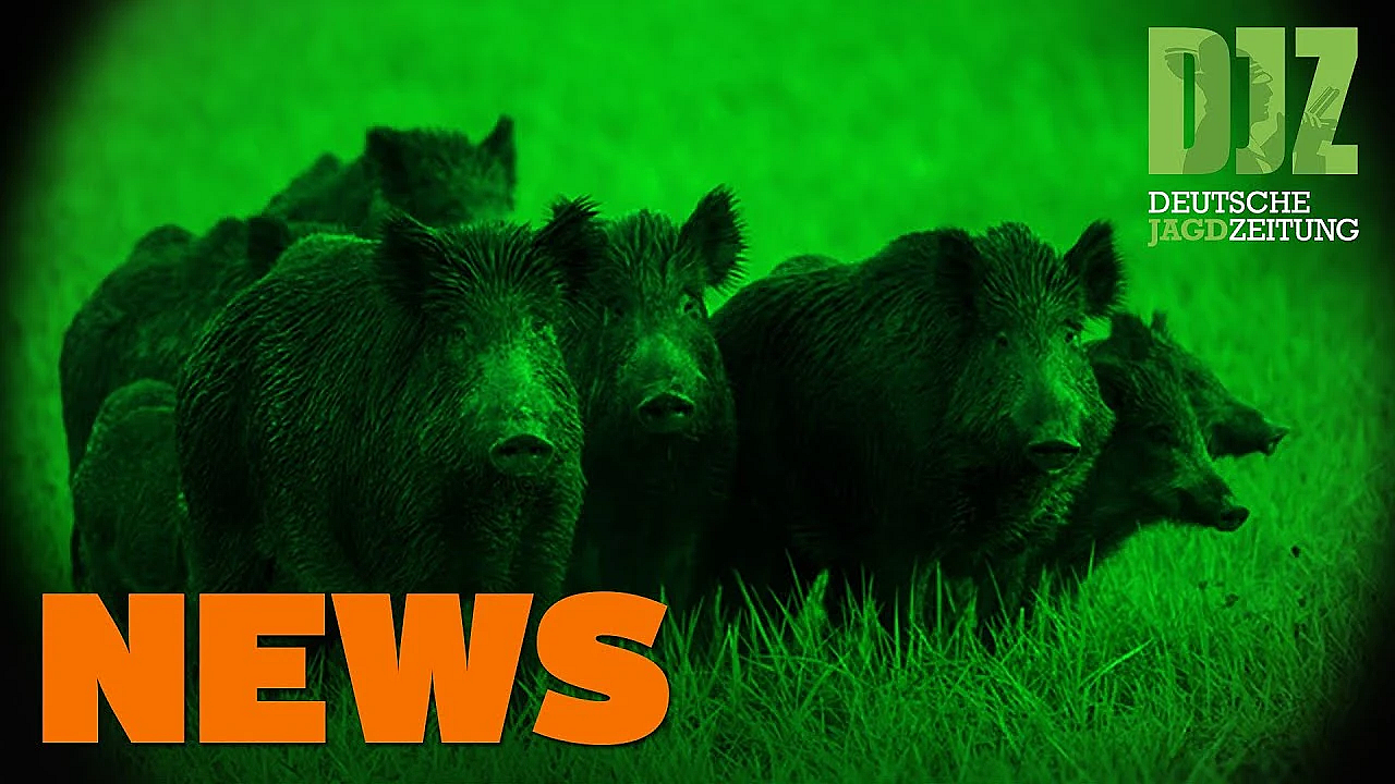 Corona-fragen, Einreiseverbot Für Jäger, Hessen Machts Möglich U.w. - Djz-news 14/2020