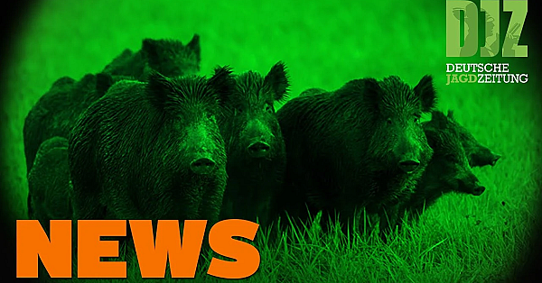 Corona-fragen, Einreiseverbot Für Jäger, Hessen Machts Möglich U.w. - Djz-news 14/2020