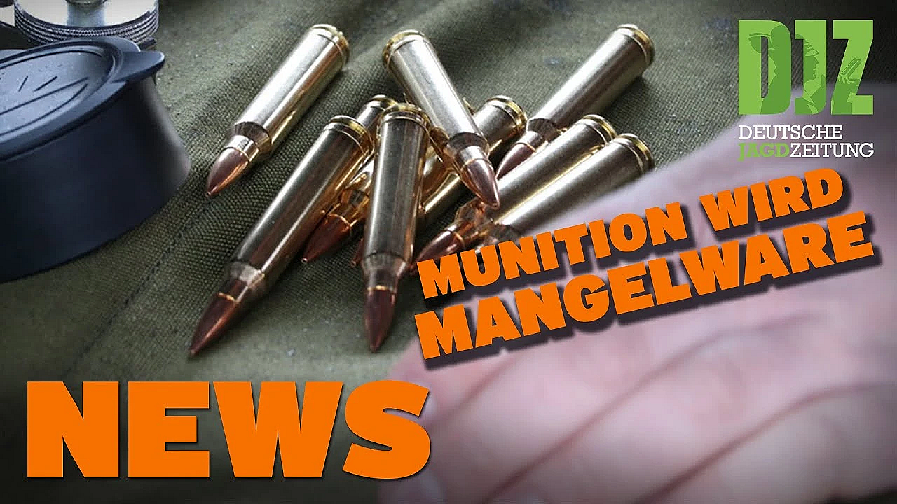 Leere Regale, Fuchs Beißt Mann, Wildernde Hunde U.w. - Djz News 12/2022