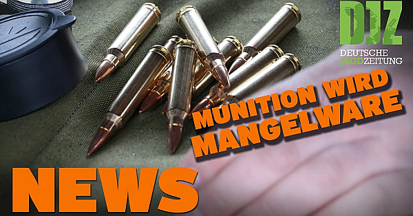 Leere Regale, Fuchs Beißt Mann, Wildernde Hunde U.w. - Djz News 12/2022