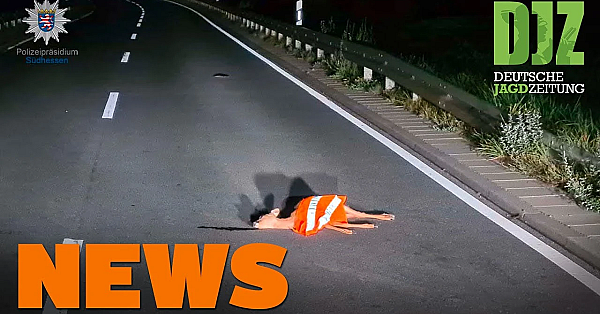 Tollwut-ausbruch, Reh Mit Warnweste, Waldstrategie 2050 U.w. - Djz-news 37/2021