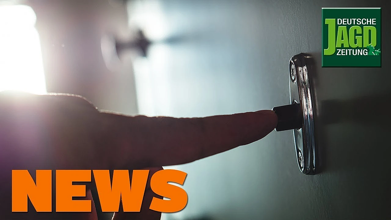 Hausdurchsuchung, Zirkus-zebras, Radfahrer, Rotwild U.w. - Djz-news 41/2019