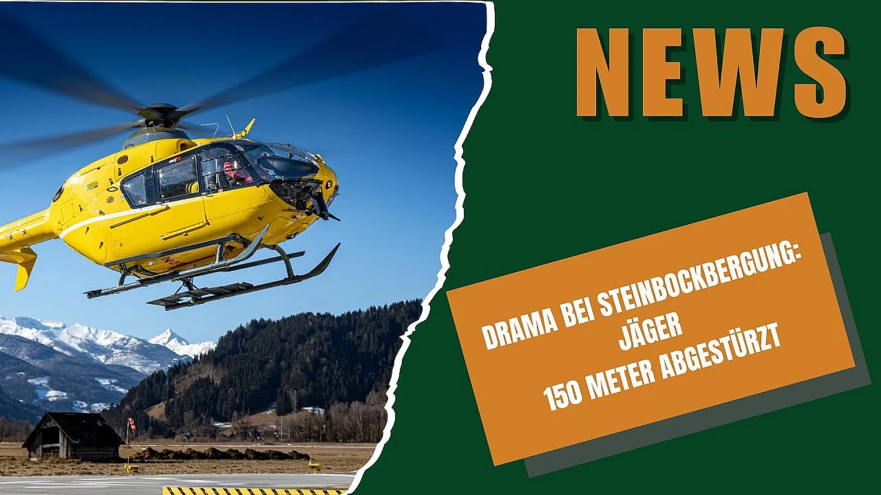 Djz News 21  05 2025