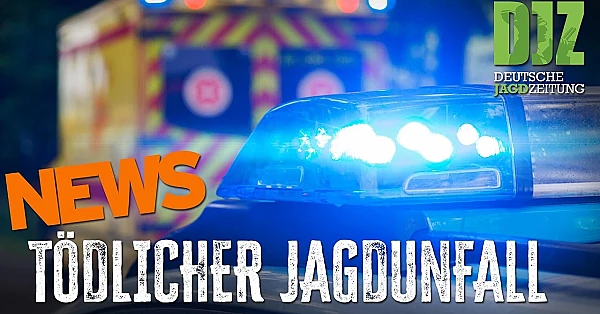 Jagdunfall im Westerwald, Waffenrecht & Zukunft des Sikawilds | DJZ-News