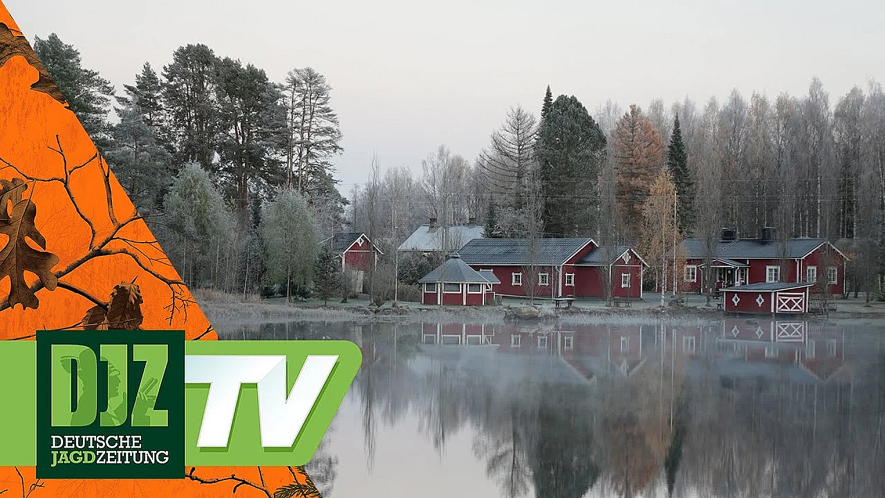 Jagen In Finnland - Pareygo Classics