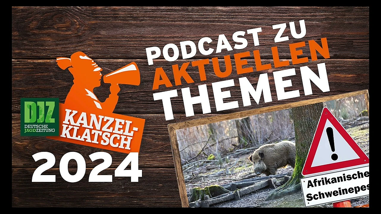 26.06.2024 Kanzelklatsch - Asp In Südhessen
