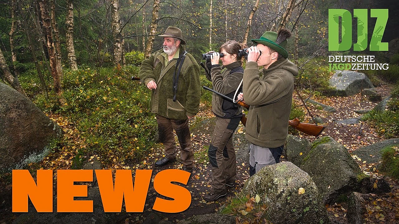 Rekord Bei Jägerprüfungen, Wildschweine In Schlingenfalle U.w. - Djz News 48/2021