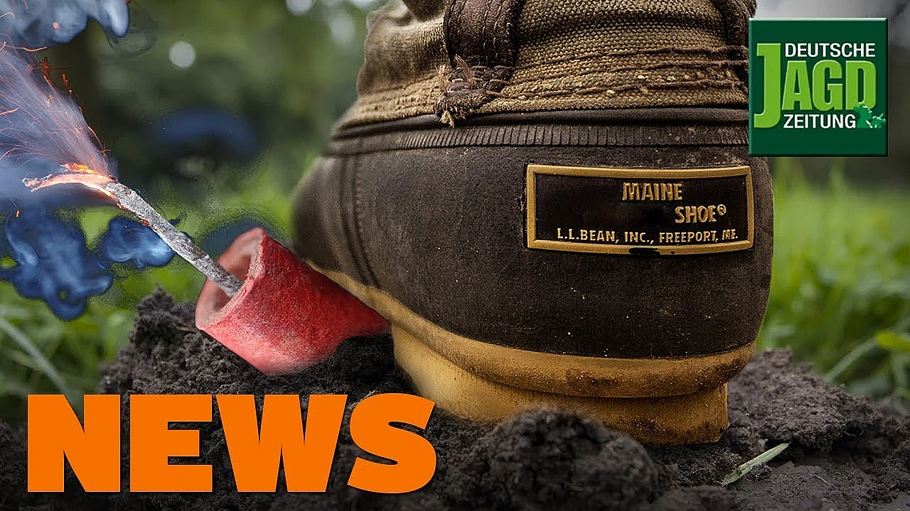 Pilzsammler, Maulwurfshügel, Königin Elizabeth, 17 In Einer Nacht U.w. - Djz-news 43/2019