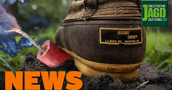 Pilzsammler, Maulwurfshügel, Königin Elizabeth, 17 In Einer Nacht U.w. - Djz-news 43/2019