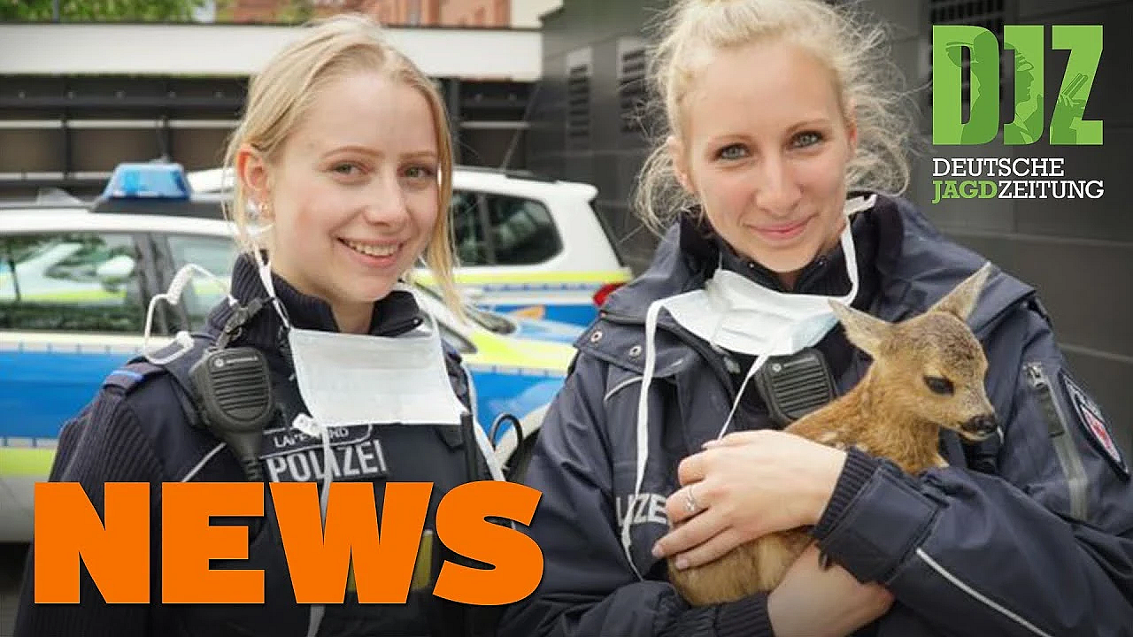 Enten-rekordflug, Juli In Berlin, Schießstandbetrieb U.w. - Djz-news 20/2020