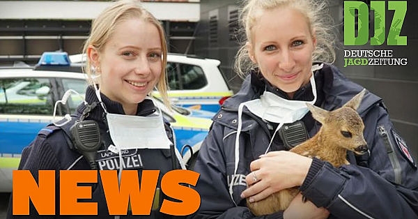 Enten-rekordflug, Juli In Berlin, Schießstandbetrieb U.w. - Djz-news 20/2020