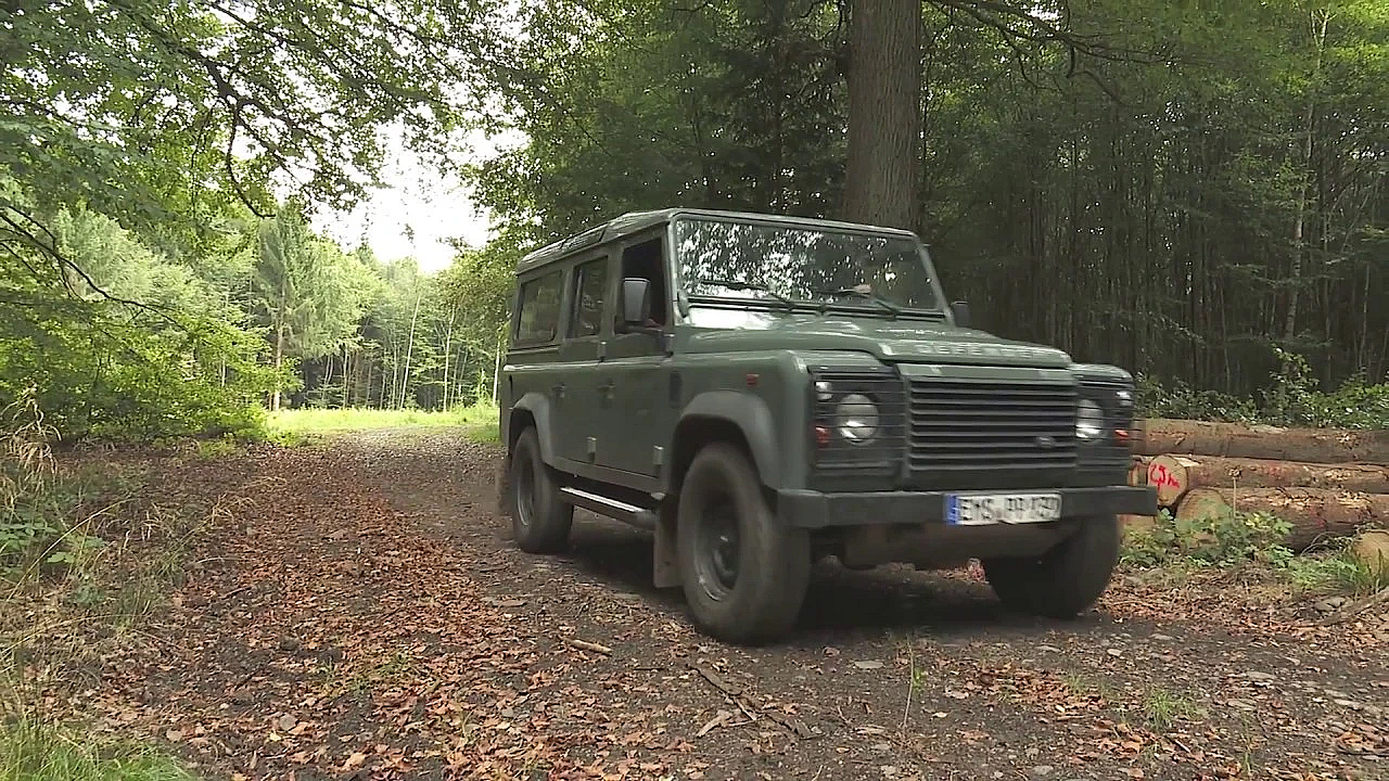 Jagen Mit Der Djz Revierwelt