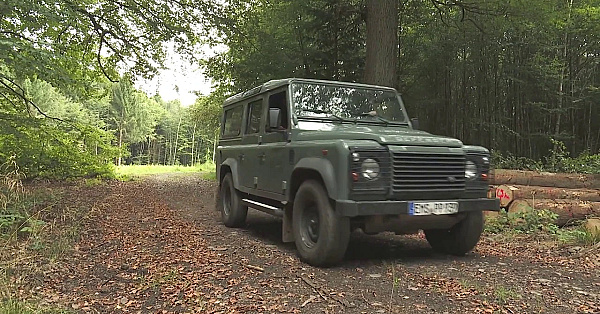 Jagen Mit Der Djz Revierwelt