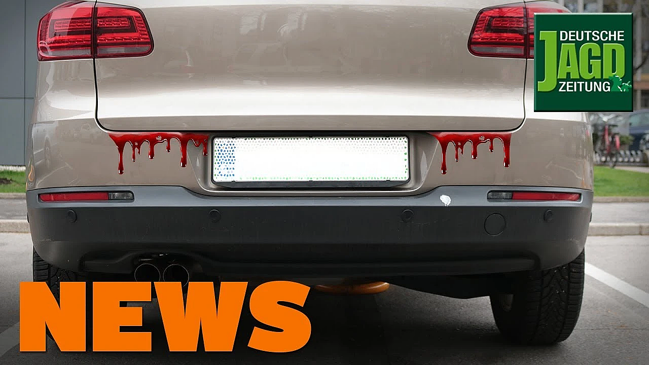 Feuer Frei In Brandenburg, Sauen Im Stadion, Nandus U.w. - Djz-news 4/2020