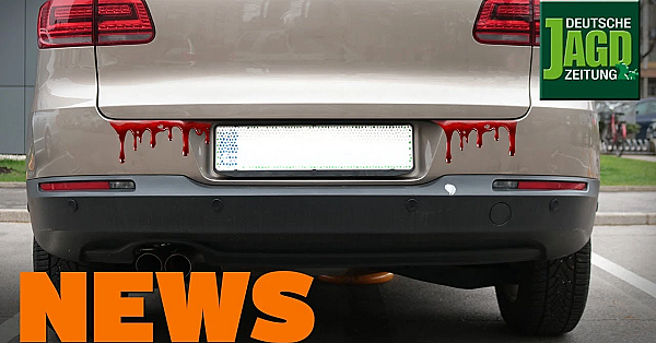 Feuer Frei In Brandenburg, Sauen Im Stadion, Nandus U.w. - Djz-news 4/2020