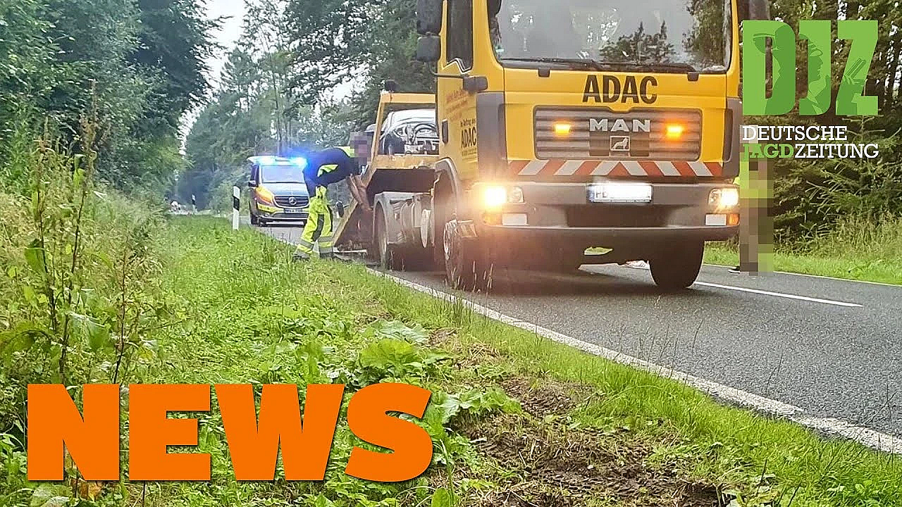 Reh Trifft Triker, Journalistenpreis, Djz-umfrage Zum Mitmachen U.w. - Djz-news 28/2021