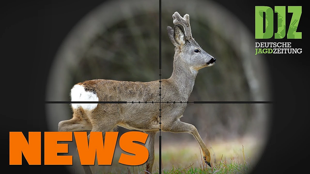 Apriljagd In Hessen Und Rlp, Nachtzieltechnik In Bw, Jagdstörerin Belangt U.w. - Djz-news 15/2020