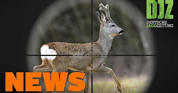 Apriljagd In Hessen Und Rlp, Nachtzieltechnik In Bw, Jagdstörerin Belangt U.w. - Djz-news 15/2020