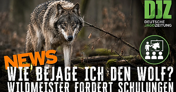 Keine Waschbär-Prämie, neue Wolfsregeln und Kritik an Deutschlands Afrika-Politik | DJZ News