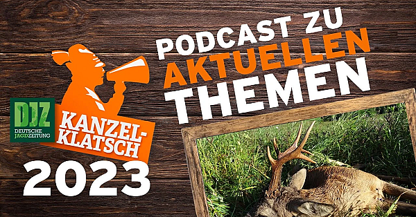 Djz-kanzelklatsch - Dicke Böcke Mit Ralf Bonnekessen