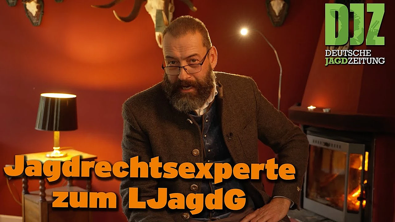 Fast Folgenlose Fehlabschüsse! - Jagdrechtskanzlei Dr. Granzin Zum Ljg Rheinland-pfalz